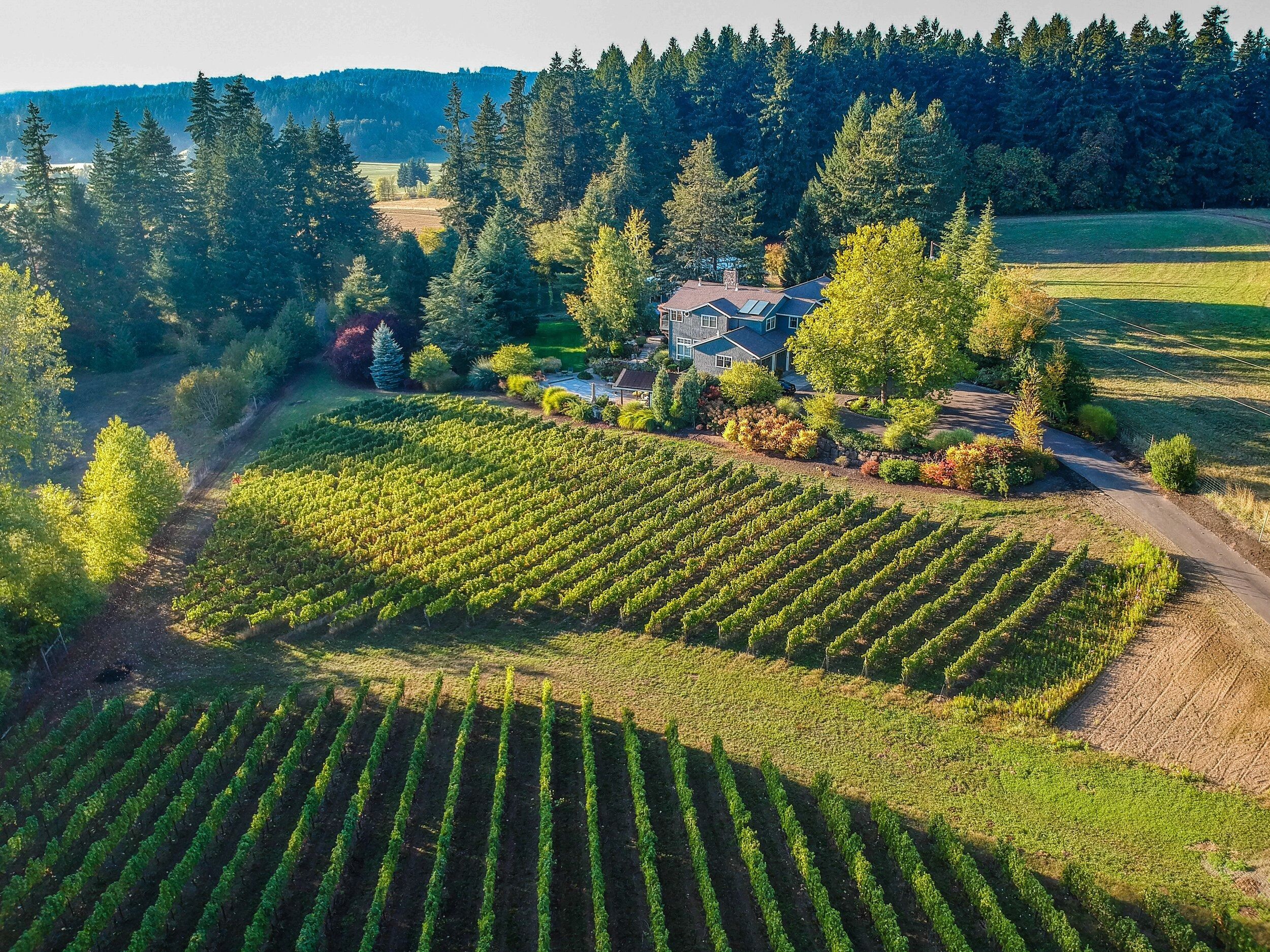Picture of Shumaker Vineyards