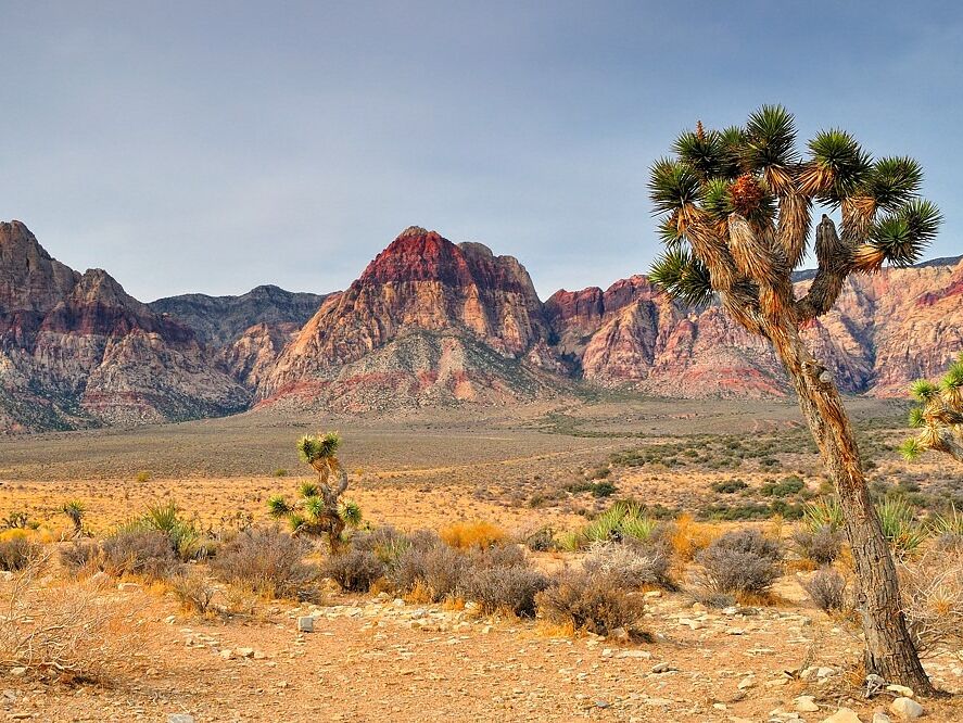 Picture of Red Rock Canyon National Conservation Area