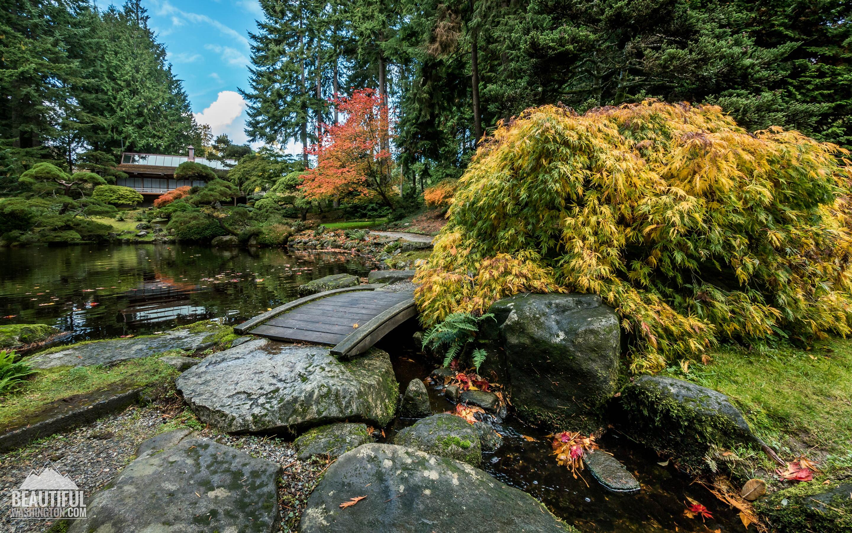 Picture of The Bloedel Reserve