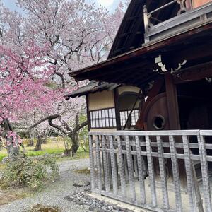 Gallery Photo 15