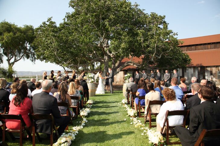 Ashleigh and Bill were married beneath a large, leafy tree at Greengate Ranch & Vineyard just outside of San Luis Obispo, California.