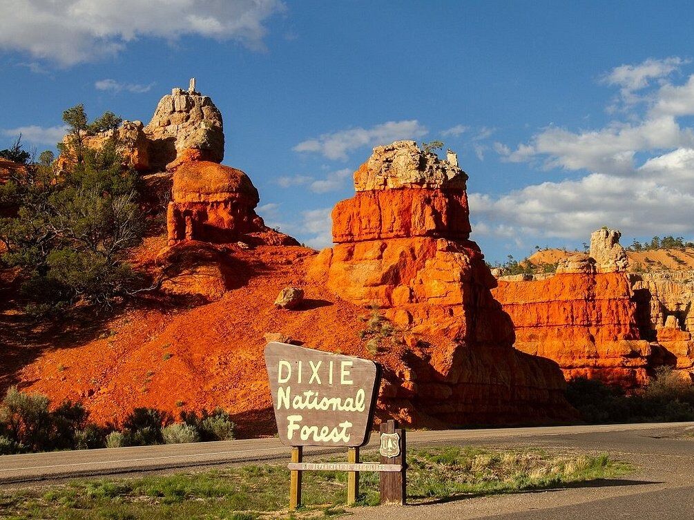 Picture of Dixie National Forest