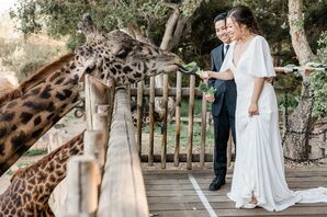 Couple Feeding Giraffe at the Santa Barbara Zoo in California
