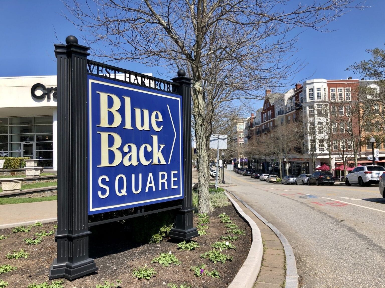 Picture of Blue Back Square