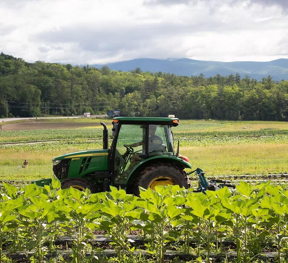 Picture of Moulton Farm