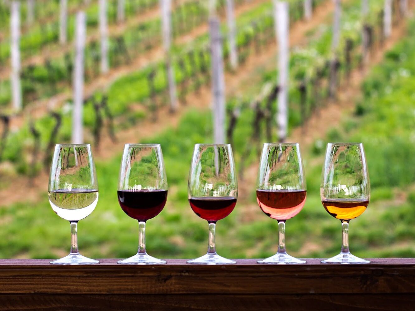 Picture of Visit a Winery!