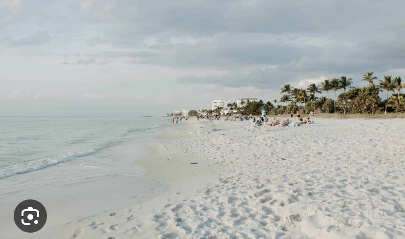 Picture of Naples Beach 