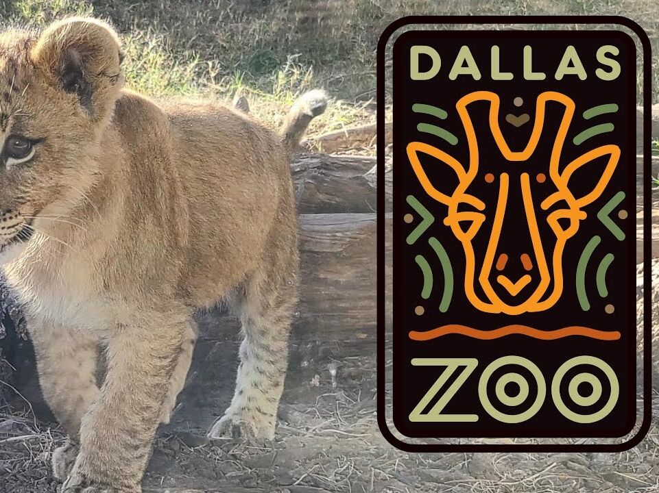 Picture of Dallas Zoo