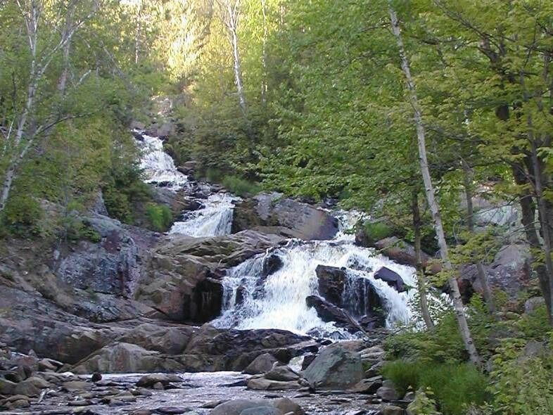 Picture of Duchesnay Falls Trails