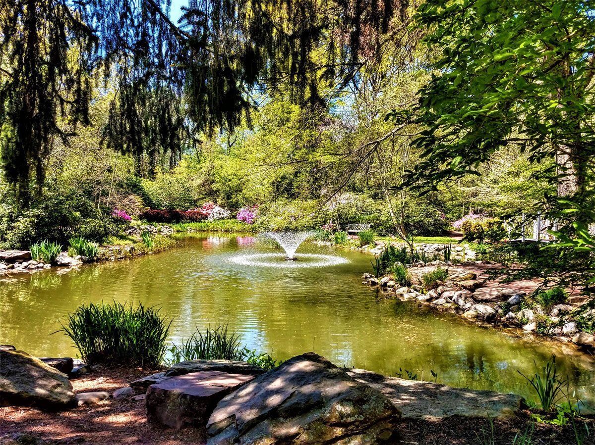 Picture of Sayen House and Gardens