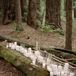 White Candle Ceremony Altar