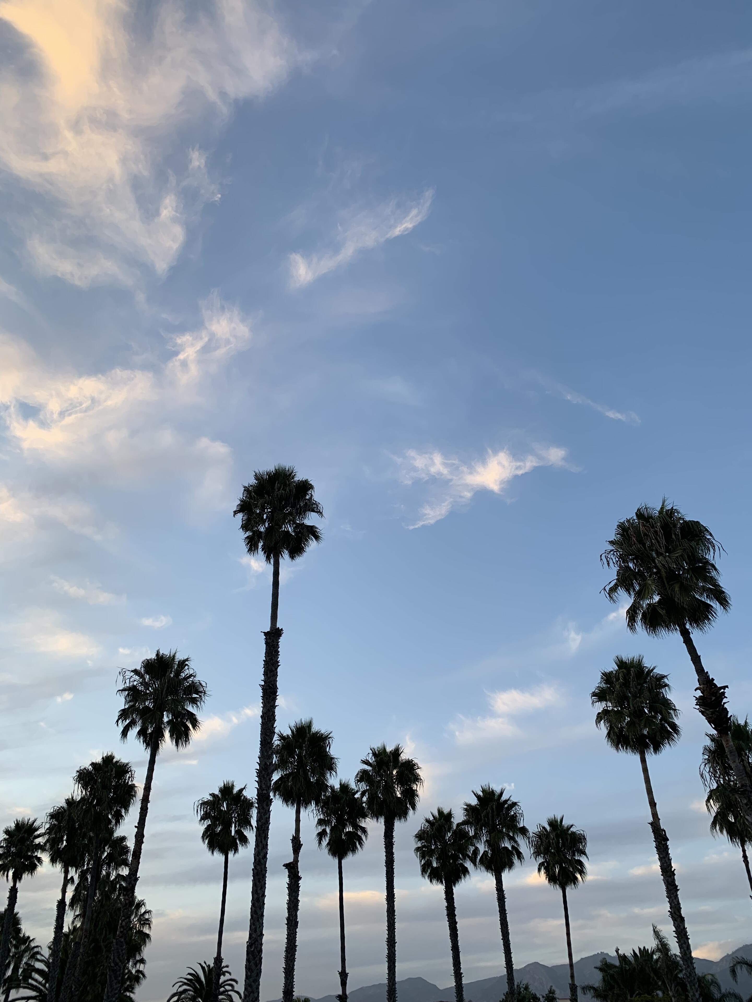 Album Photo 73