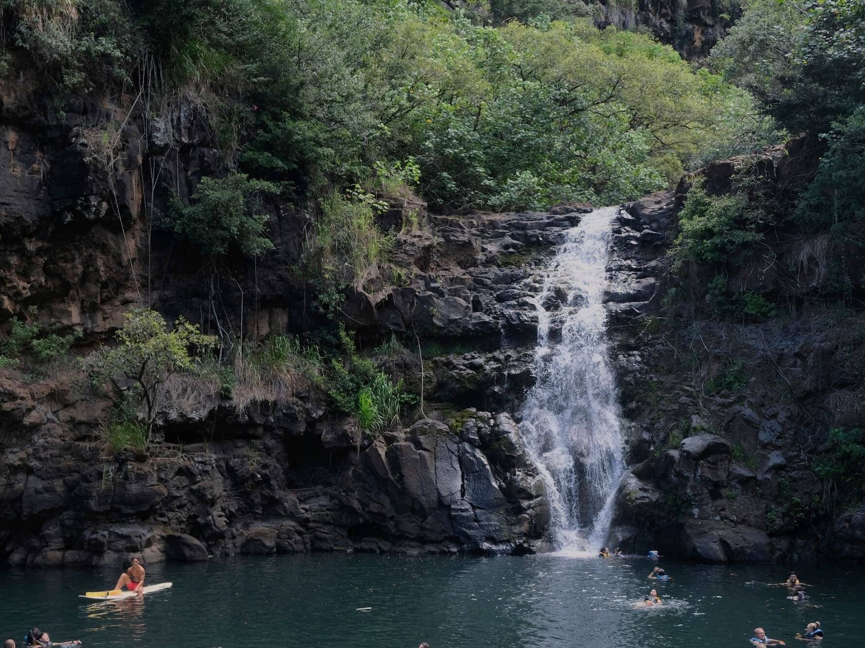 Picture of Waimea Falls