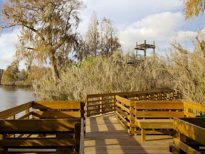Picture of Lettuce Lake Park