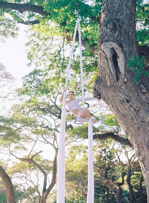 Aerial Silk Performer in White Outfit Suspended From Large Tree in Maui, Hawaii