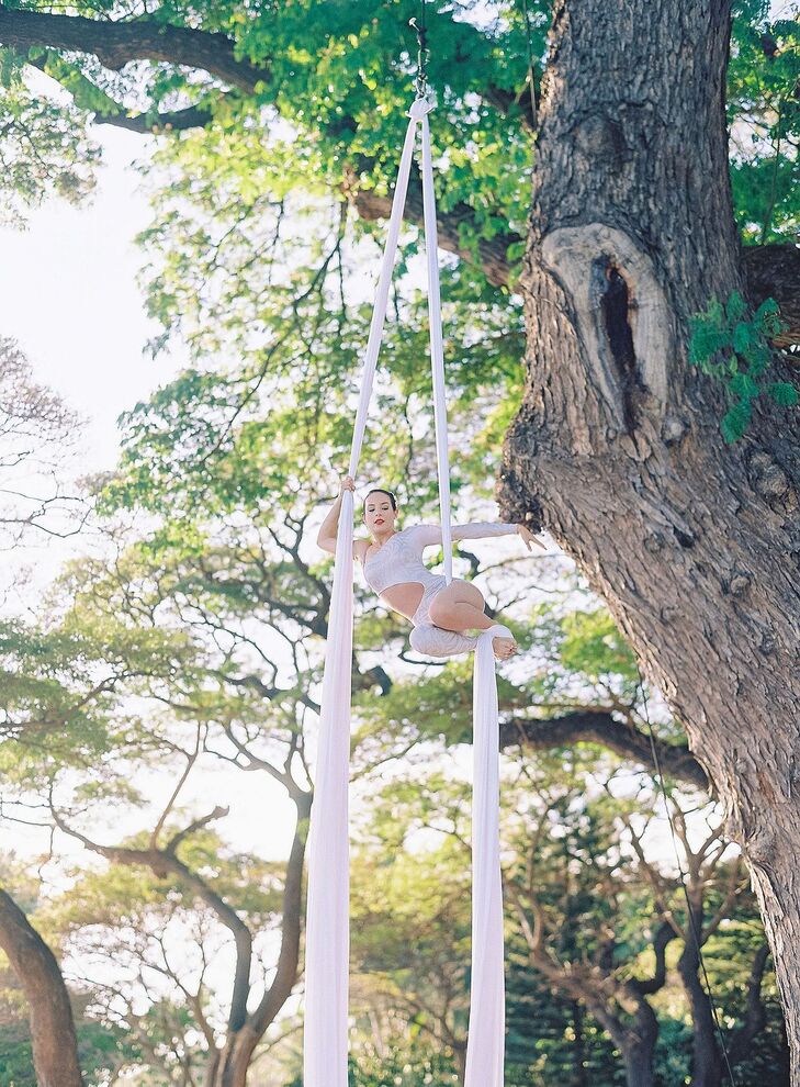 Aerial Silk Performer in White Outfit Suspended From Large Tree in Maui, Hawaii