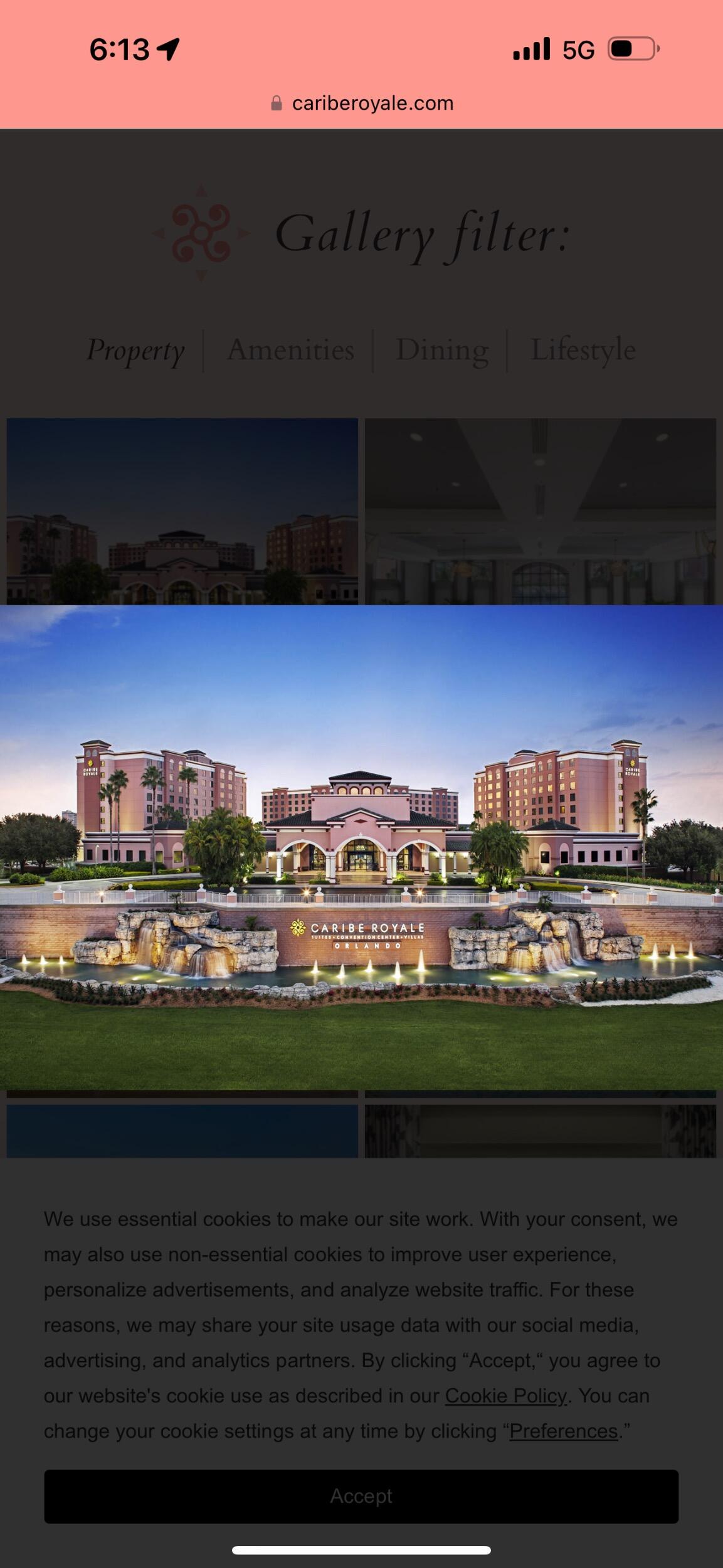 Picture of Caribe Royale Orlando