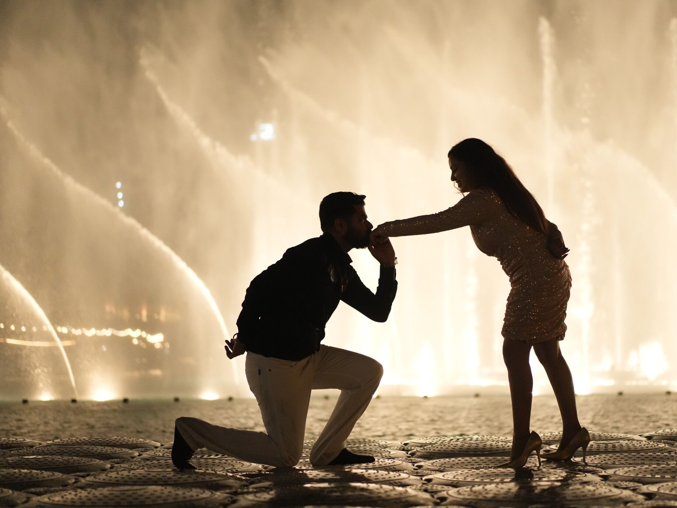 Picture of Danish and Sona: A Fairytale of Love Across Continents