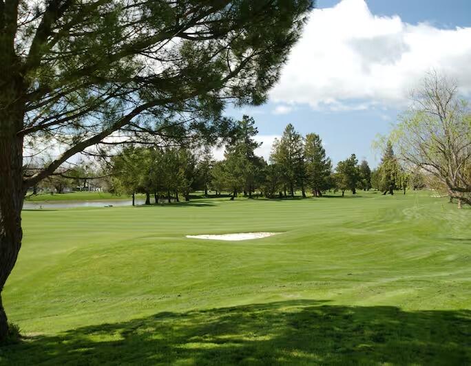 Picture of Foxtail Golf Club