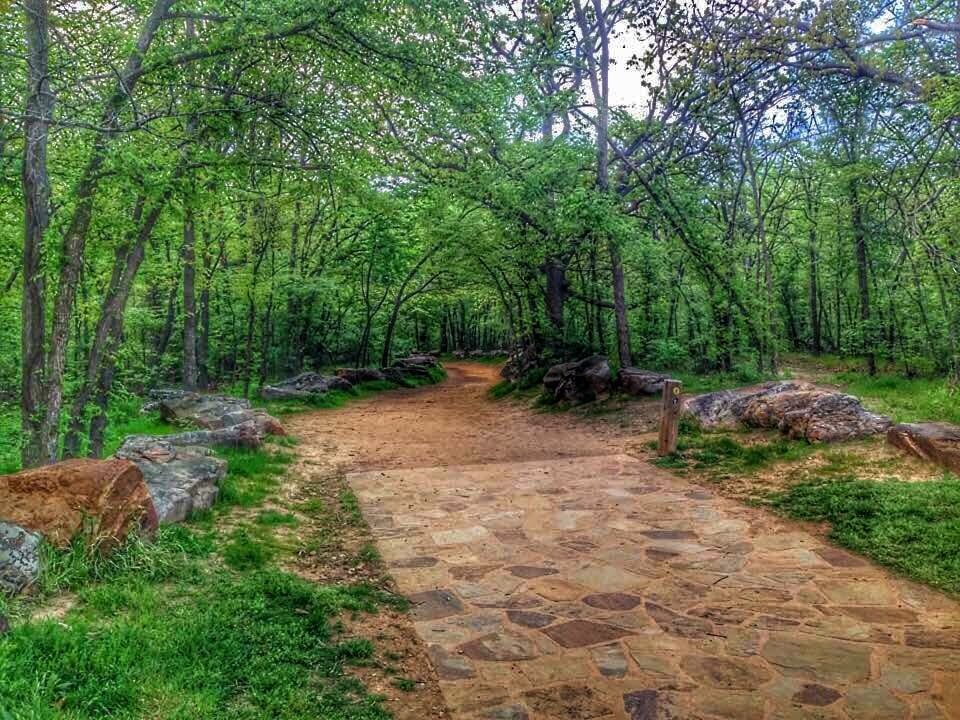 Picture of Turkey Mountain Urban Wilderness Area