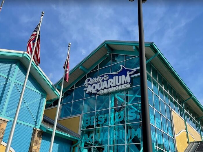 Picture of Ripley's Aquarium of the Smokies