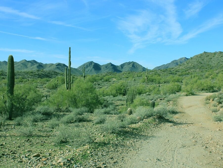 Picture of San Tan Mountain Regional Park
