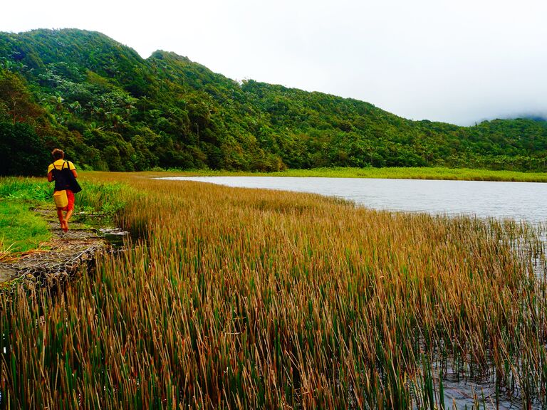 Grand Etang National Park, Grenada