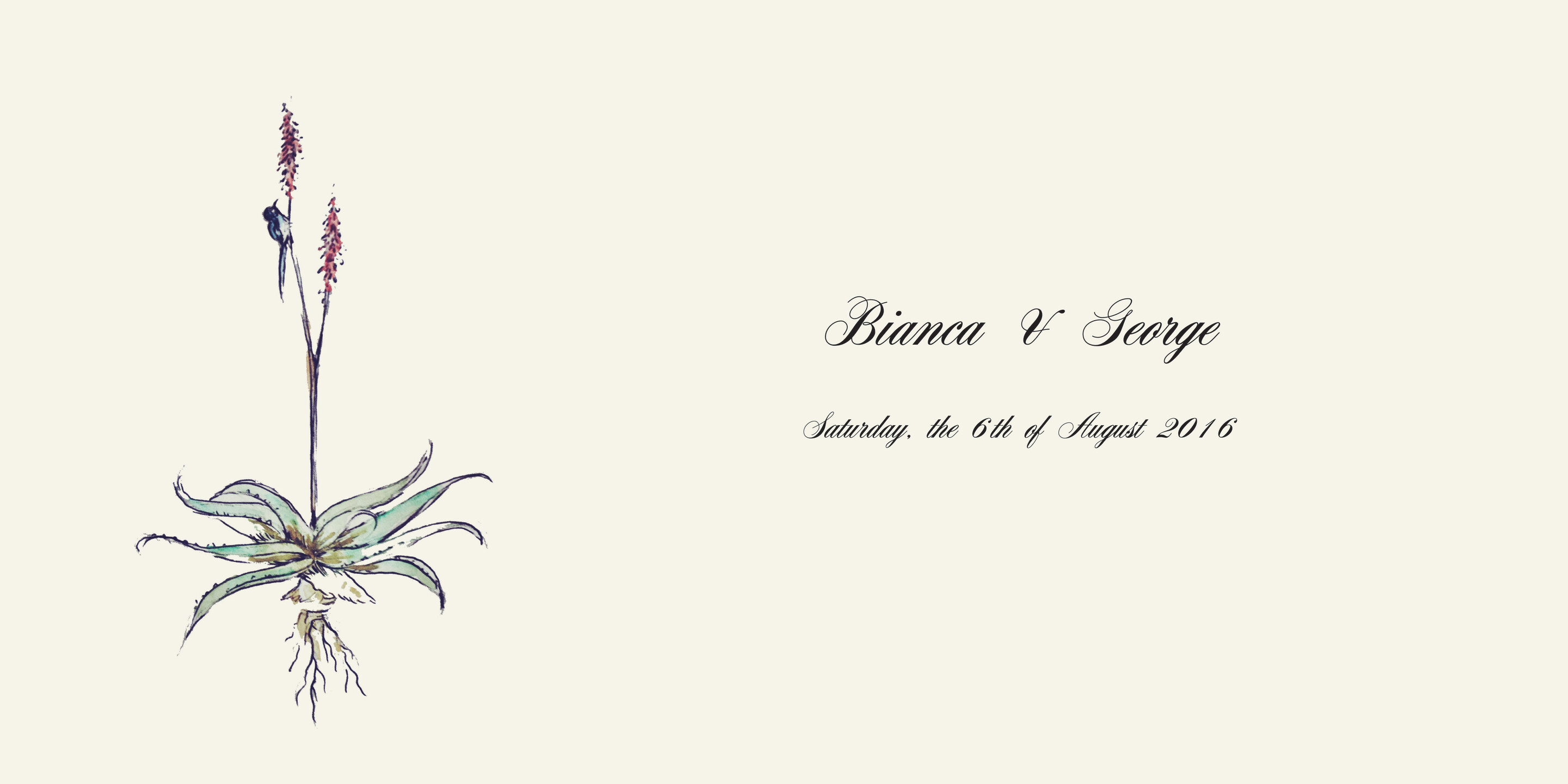 Bianca & George Home Page Banner