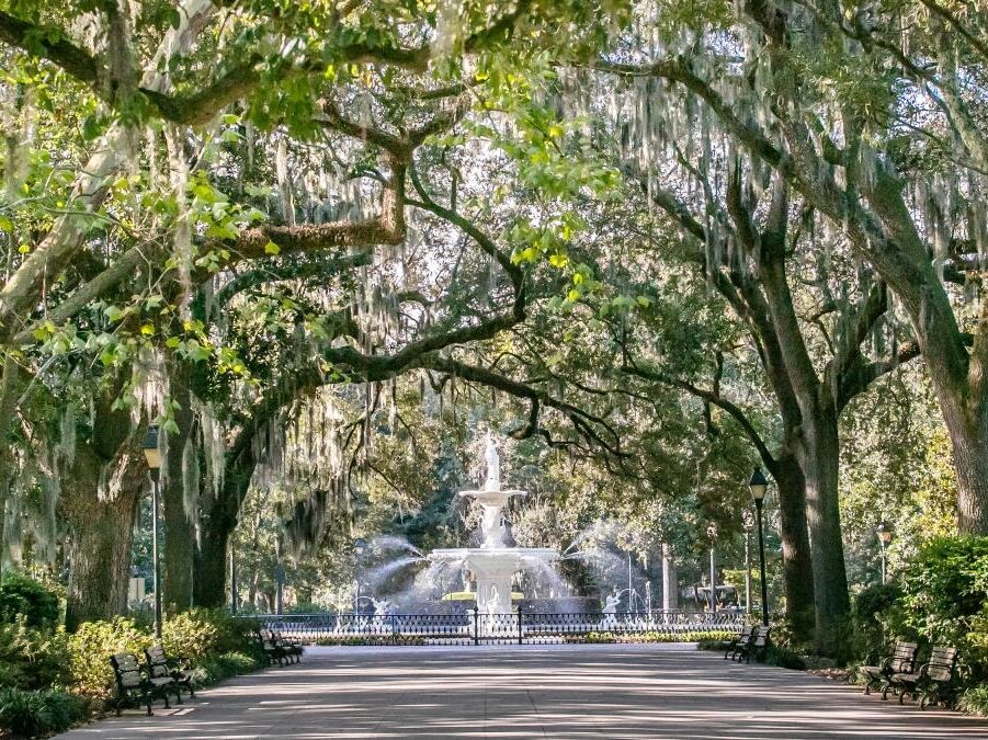 Picture of Forsyth Park