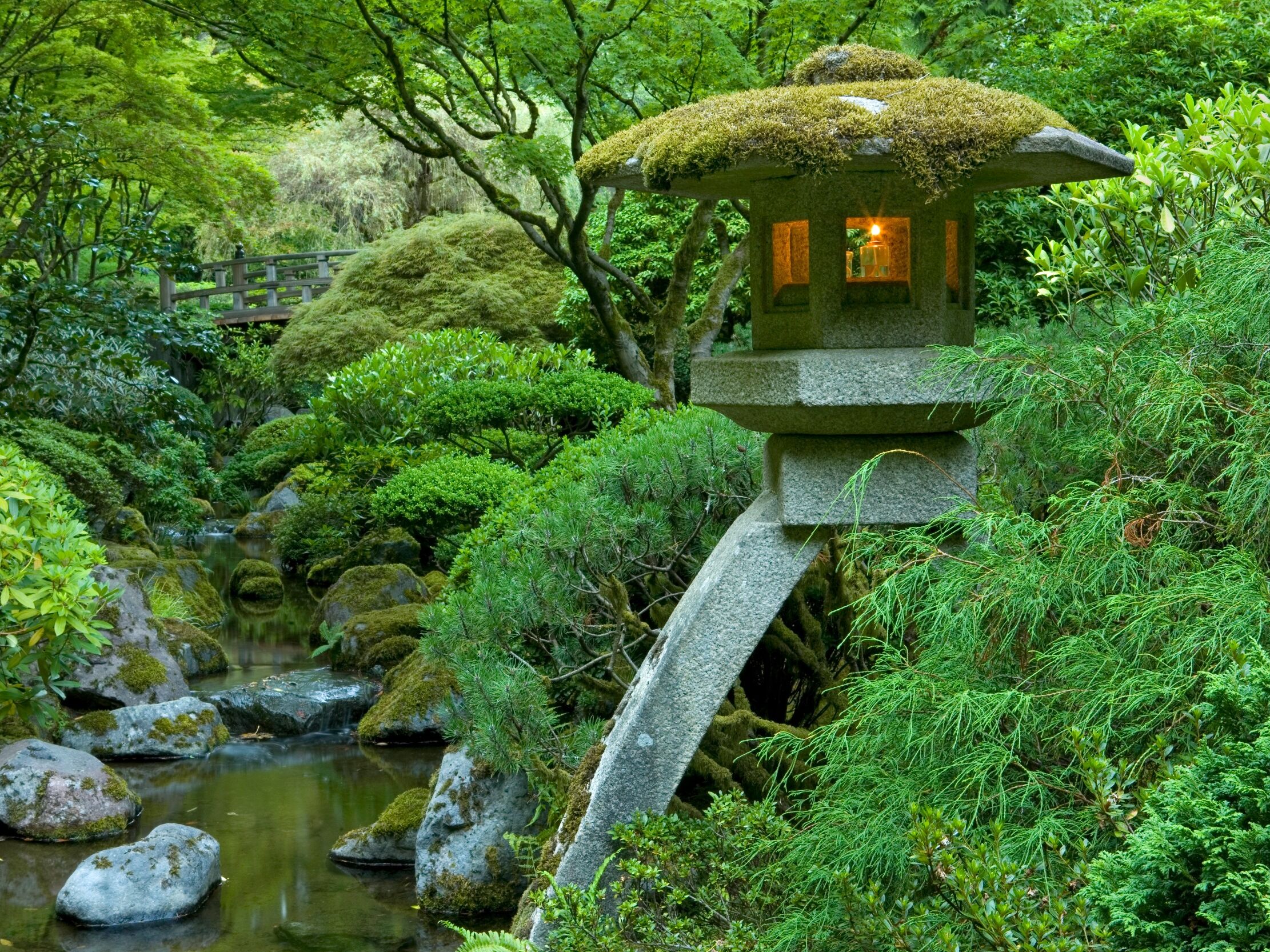 Picture of Portland Japanese Garden