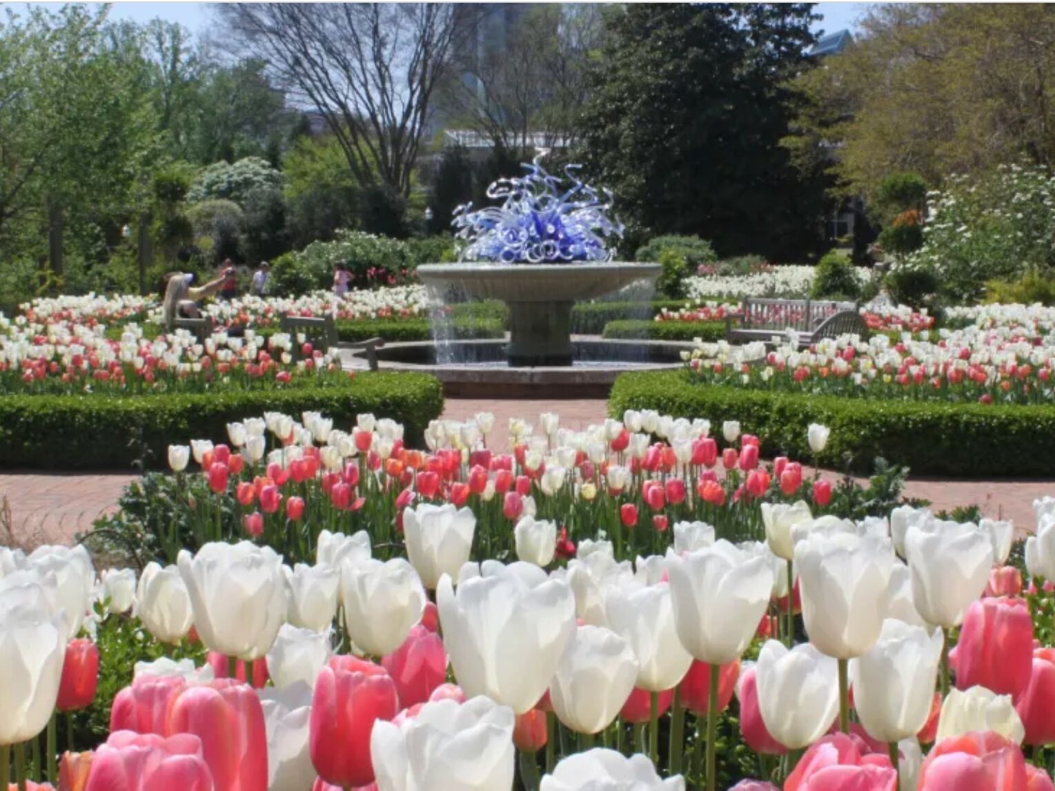 Picture of Atlanta Botanical Garden
