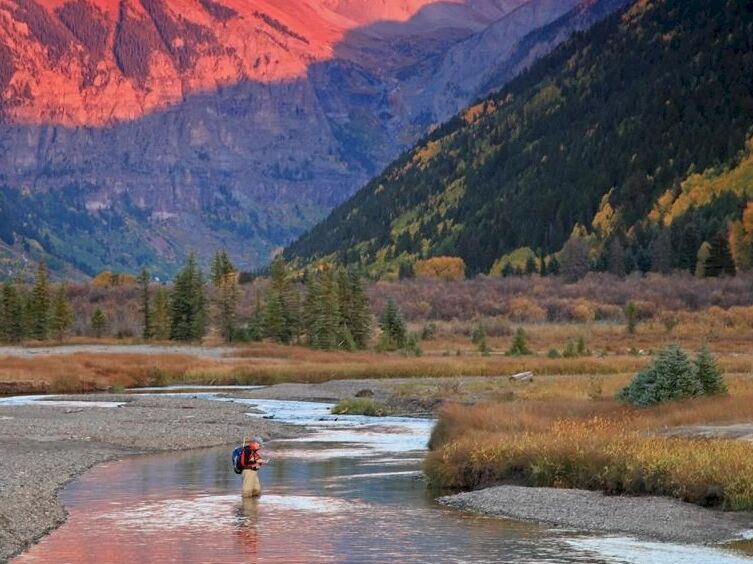 Picture of Fly Fishing