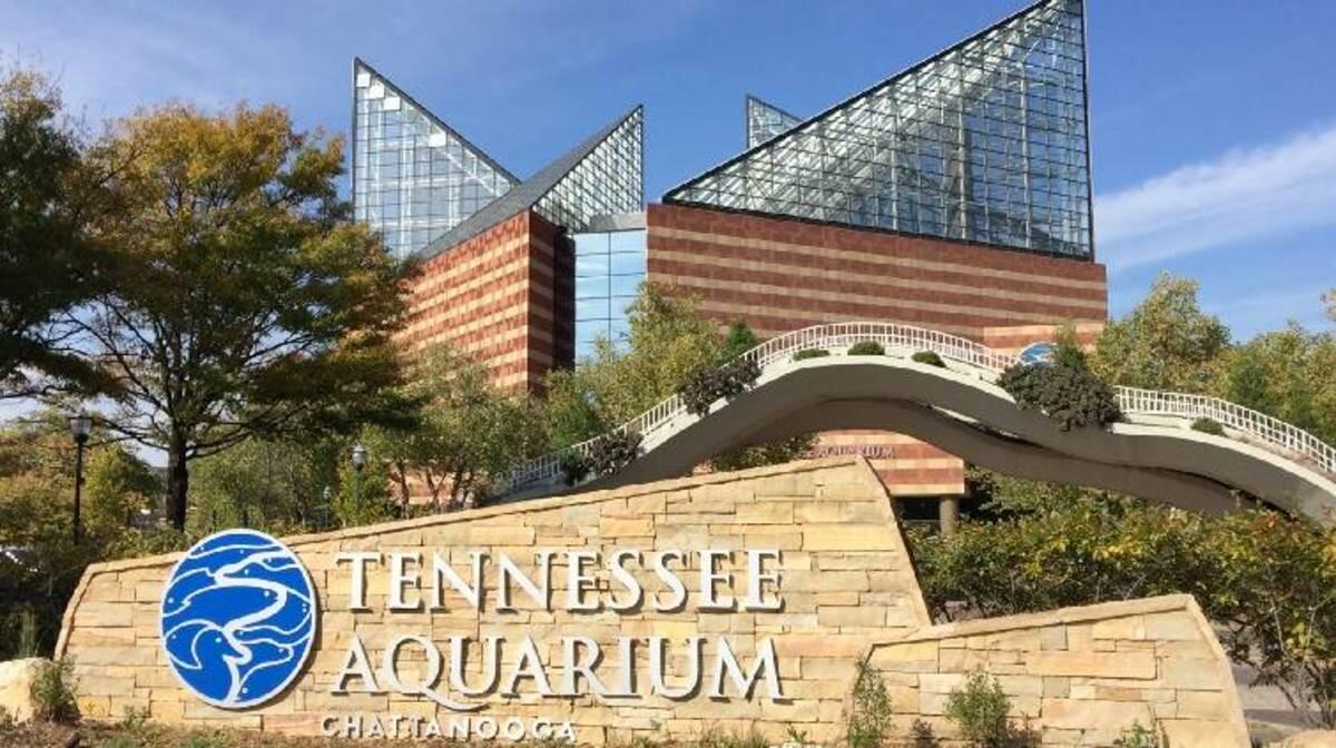 Picture of Tennessee Aquarium