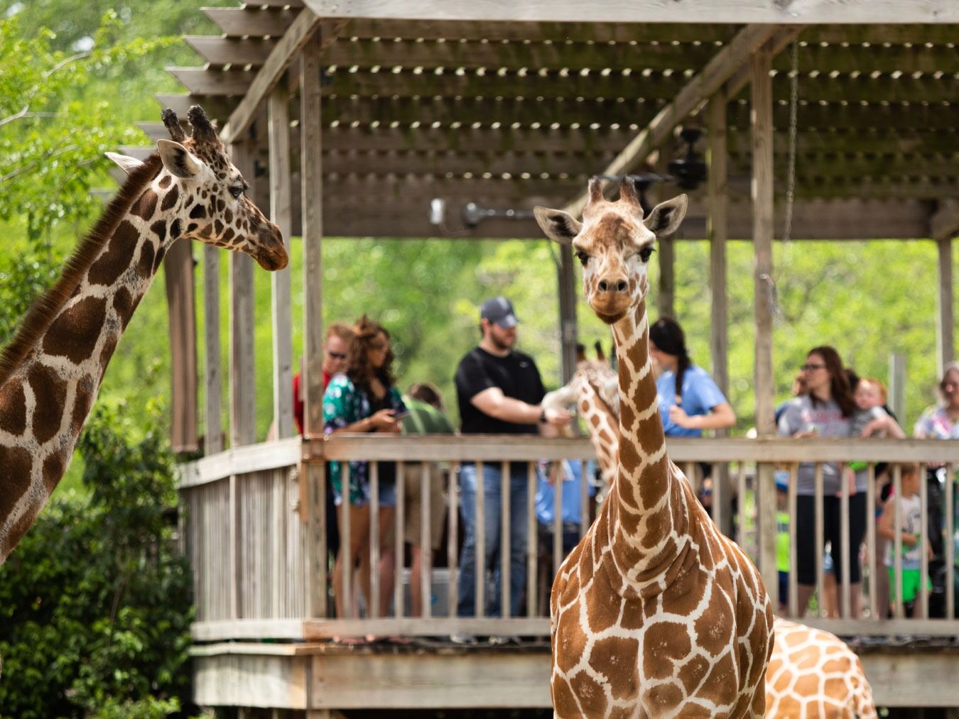 Picture of Sedgwick County Zoo
