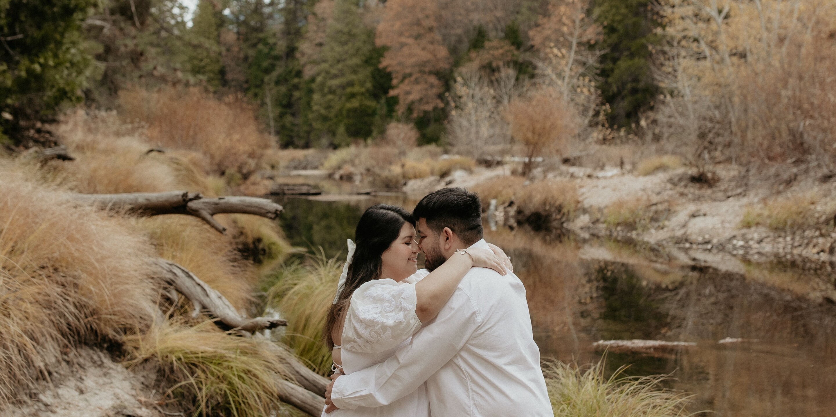 Alma & Armando Home Page Banner