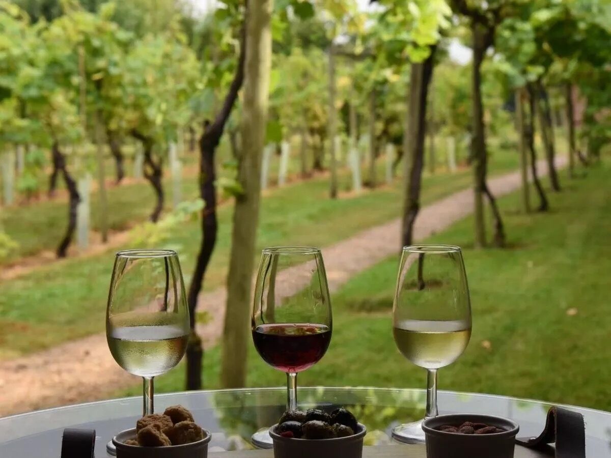 Picture of Stanlake Park Wine Estate