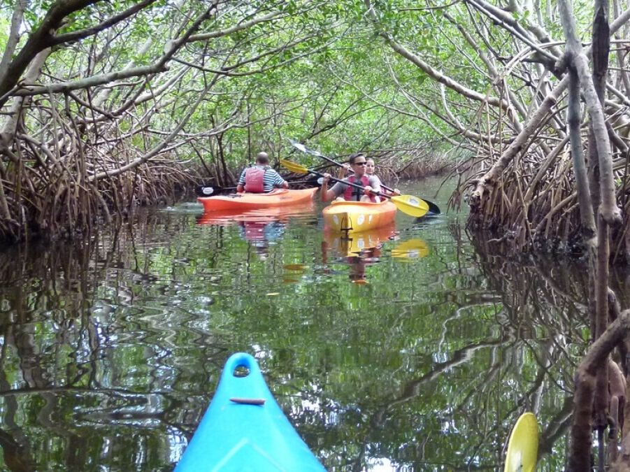 Picture of Weedon Island Preserve