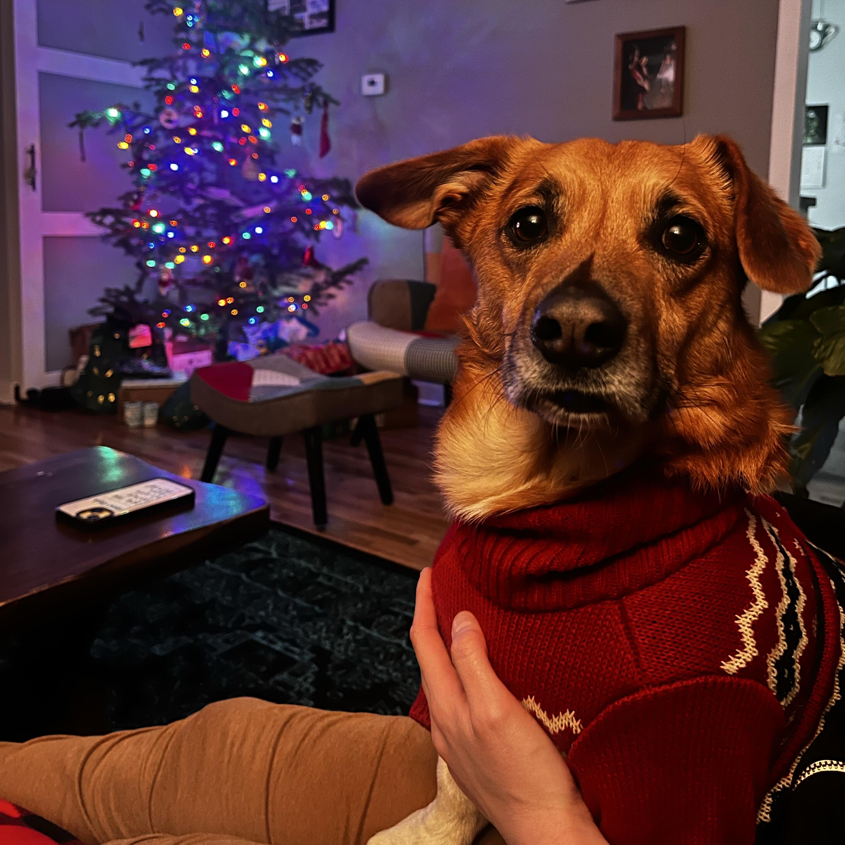 Archie