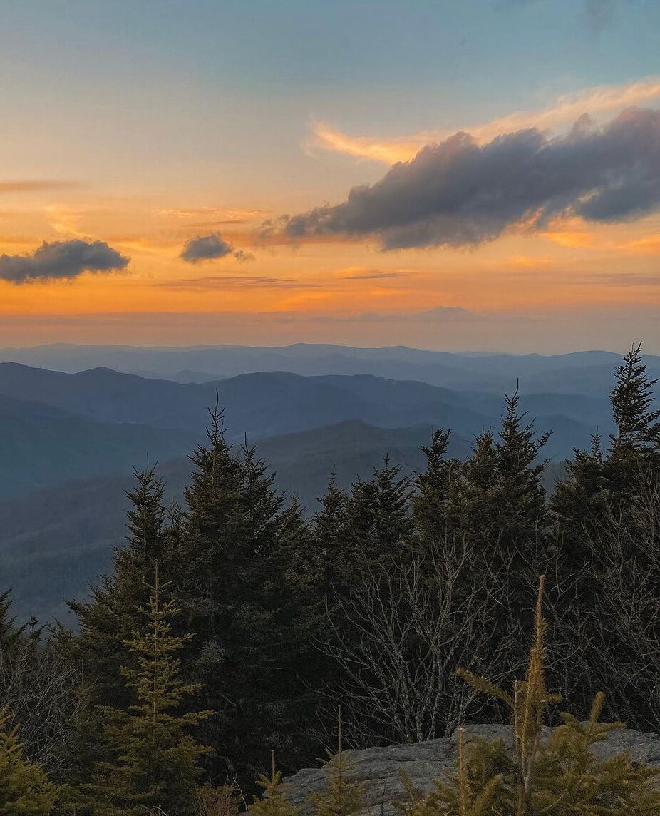 Picture of South Carolina 