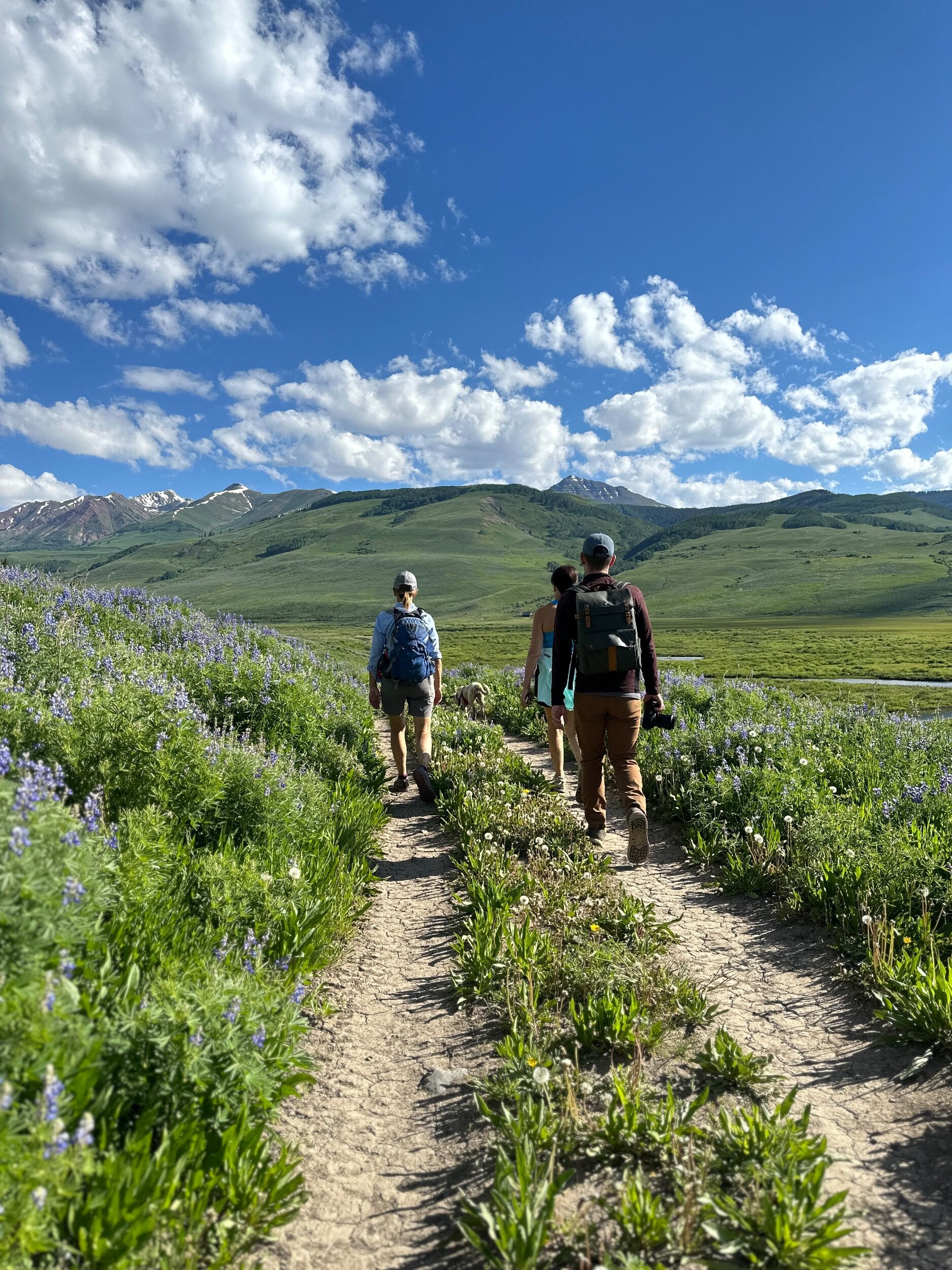 Picture of Hike the Butte