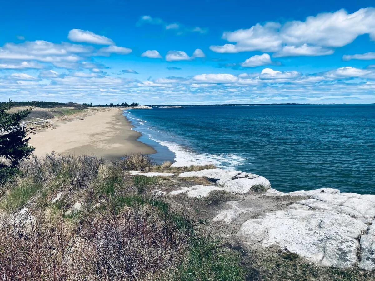Picture of Reid State Park