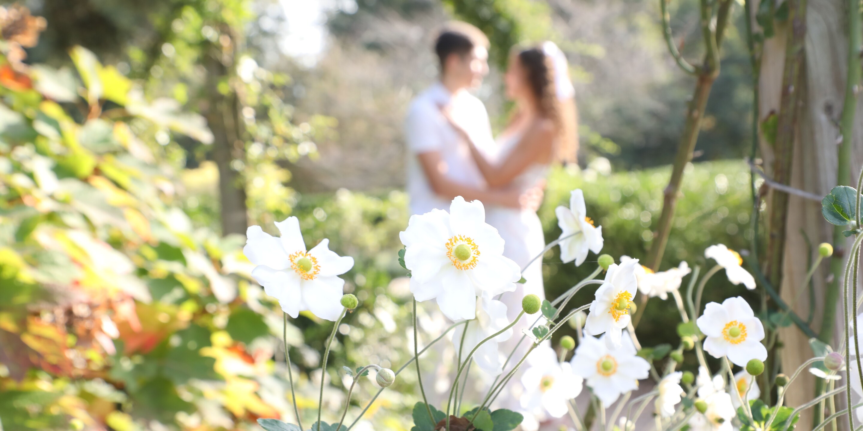 Amanda & Paul Home Page Banner