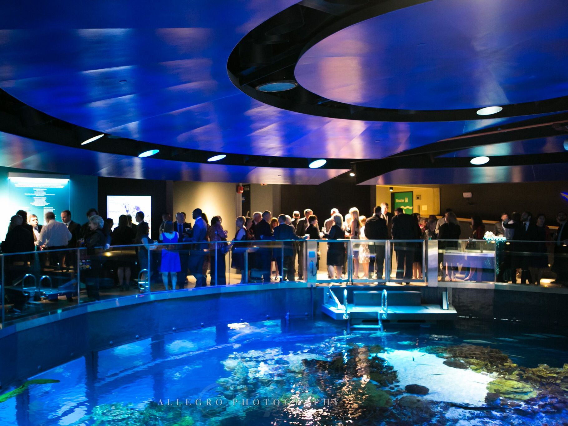 Picture of New England Aquarium