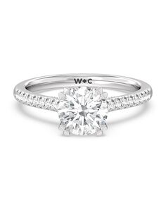 With Clarity Elegant Princess, Cushion, Emerald, Radiant, Round, Oval Cut Engagement Ring