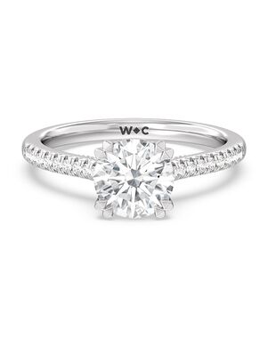 With Clarity Elegant Princess, Cushion, Emerald, Radiant, Round, Oval Cut Engagement Ring