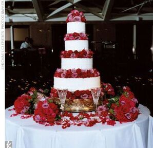 The Cake