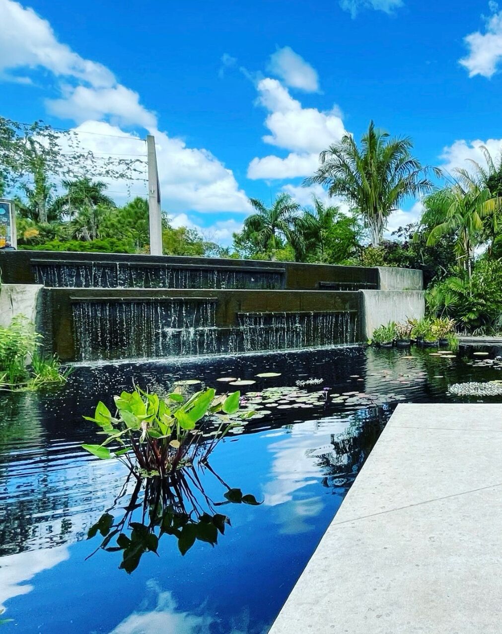 Picture of Naples Botanical Garden