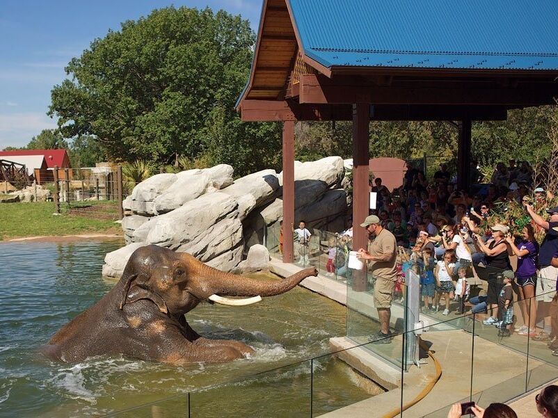 Picture of Denver Zoo