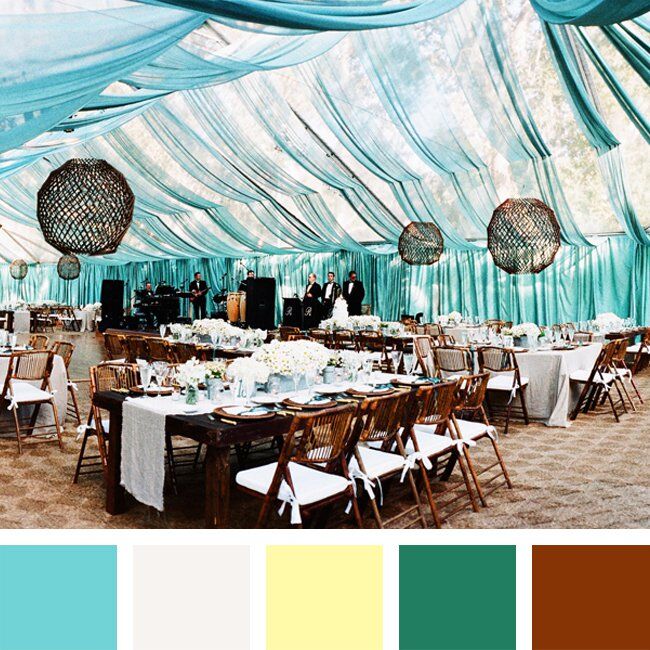Aqua, Dark Brown and White Color Palette