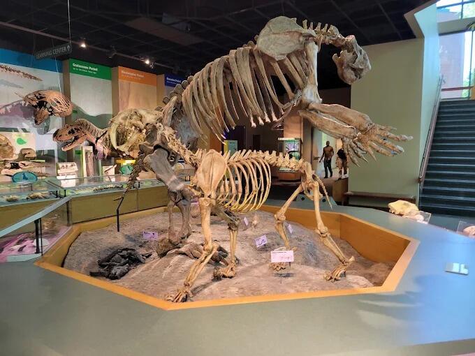 Picture of Mississippi Museum of Natural Science